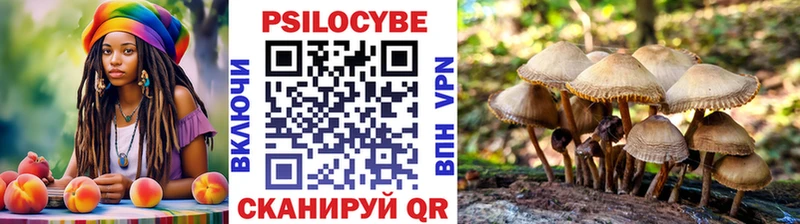 кракен tor  где можно купить наркотик  Снежинск  Псилоцибиновые грибы ЛСД 