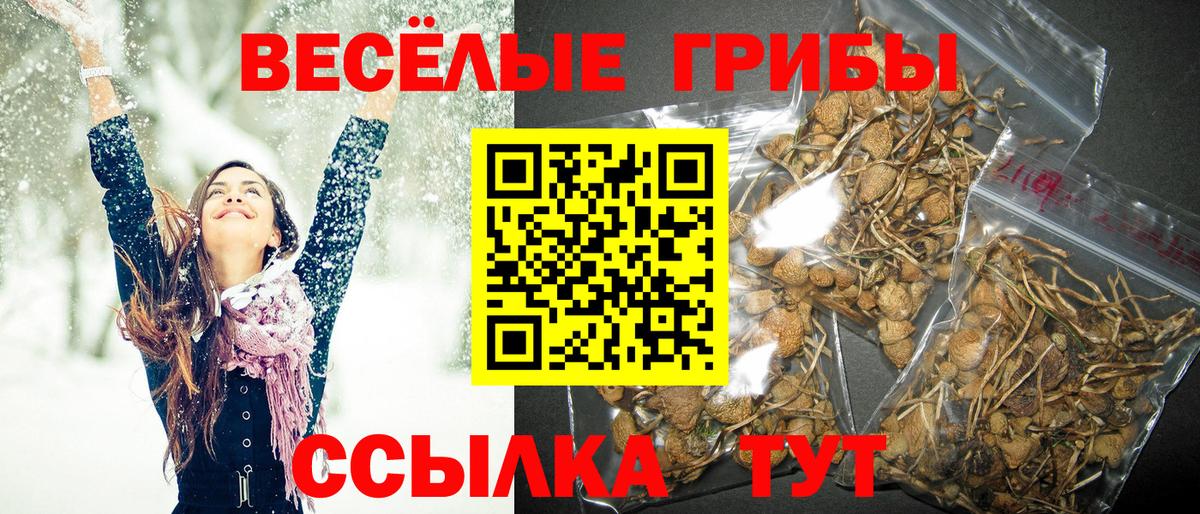 Псилоцибиновые грибы Psilocybine cubensis  Вход с VPN  Снежинск  Псилоцибиновые грибы Magic Shrooms 
