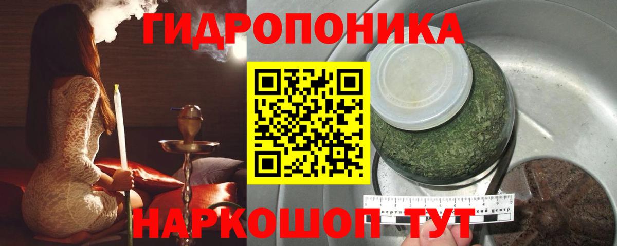 Бошки марихуана OG Kush Снежинск